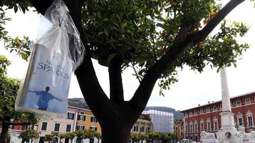 Strani frutti: romanzi e saggi sugli alberi di piazza Aranci