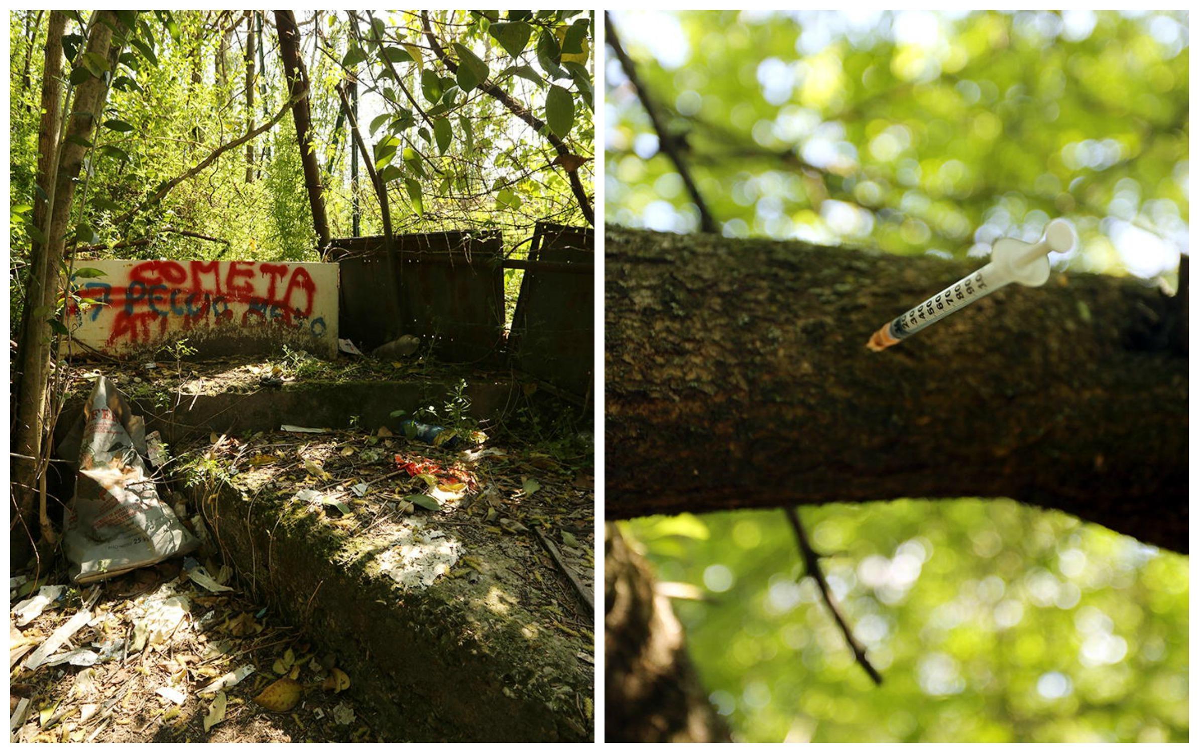 Un angolo  trasformato in rifugio di tossici e una siringa conficcata in un albero (Foto Agenzia Carlo Sestini)