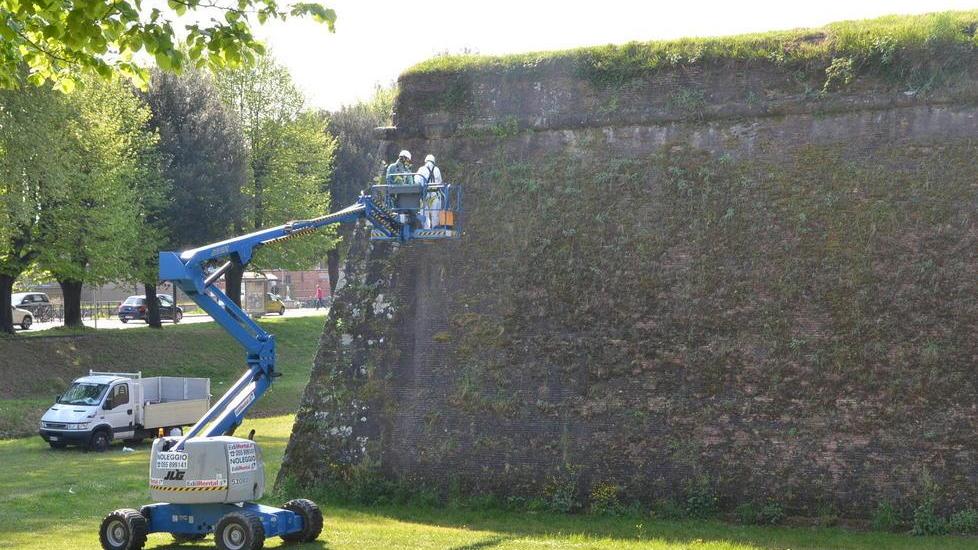 Mura, lavori al paramento e per la pista ciclabile