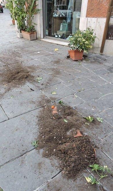Fioriere rotte e vomito La rabbia dei ristoratori