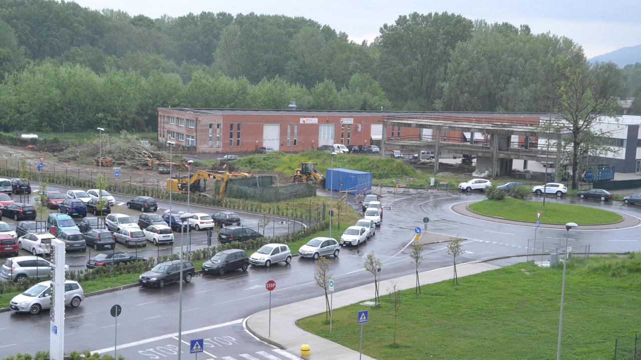 I lavori per la nuova strada che hanno sacrificato il boschetto