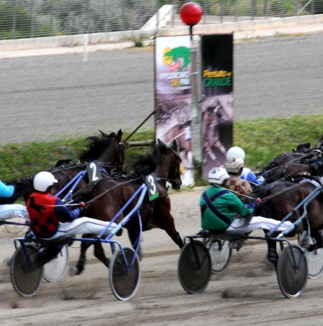 Dieci cavalli a caccia del successo nel premio Luttazzi ai Pini