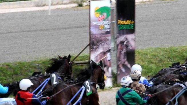 Dieci cavalli a caccia del successo nel premio Luttazzi ai Pini