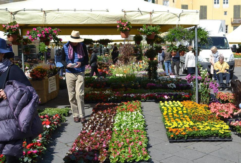 Presenze boom alla festa dei colori 