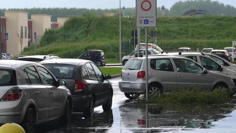 Multe alle auto in divieto al S. Luca decurtati anche punti sulla patente