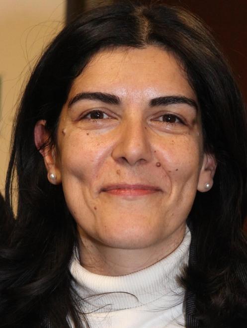«Per Albinea nessuna fusione imminente» 
