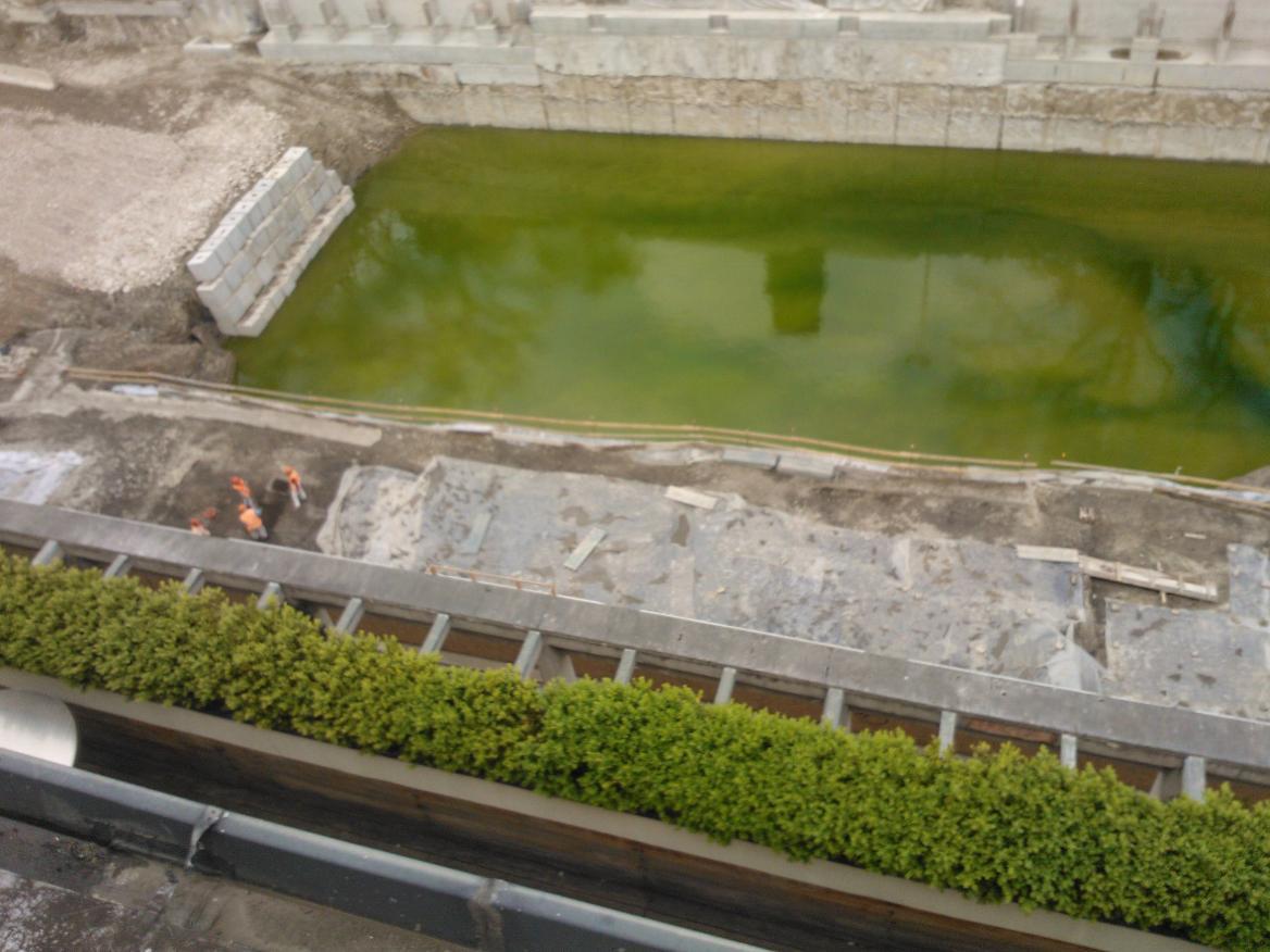 Piove e il park Vittoria diventa un lago verde 