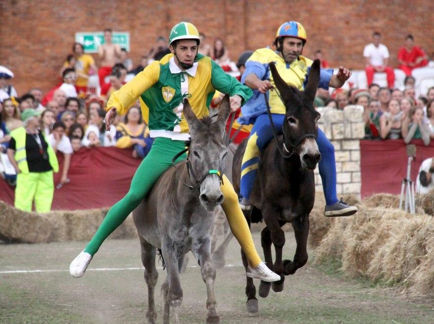 Un libro per le 60 corse del Palio dei Micci 