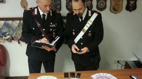 Sgominata la banda della marijuana