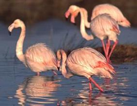 Tre giorni immersi nel Parco fra escursioni e fotografia 