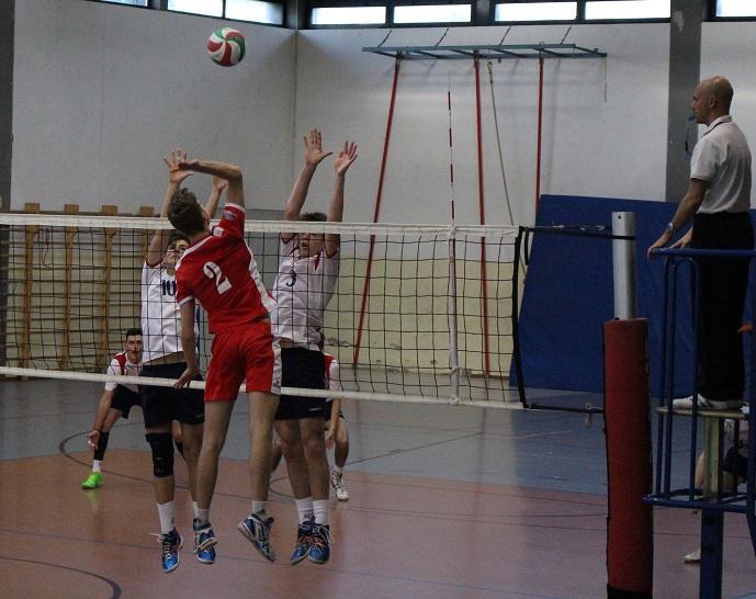 Attacco Lupi Santa Croce