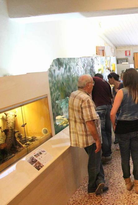 Record di studenti al Centro di scienze naturali