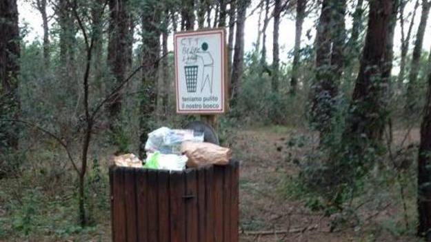 Degrado in pineta a Marina di Cecina Cestini colmi e rifiuti abbandonati in terra