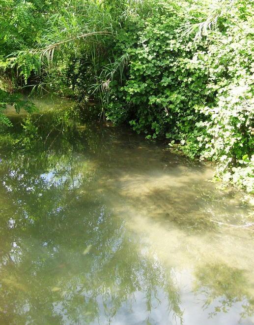 Gora delle Ferriere sempre più sporca per scarichi abusivi 