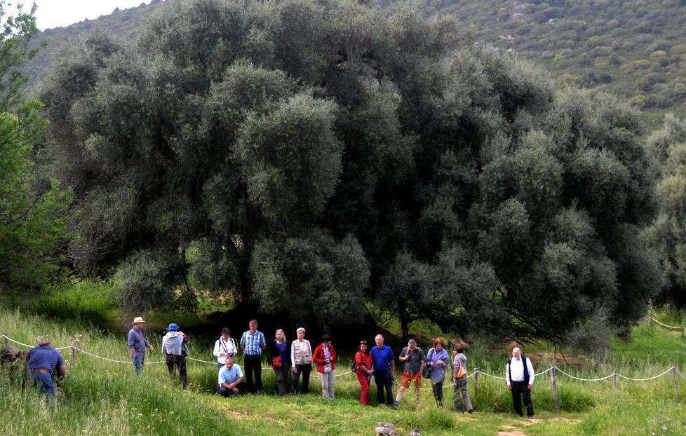 Siti archeologici e luoghi di cultura, pochi i visitatori 