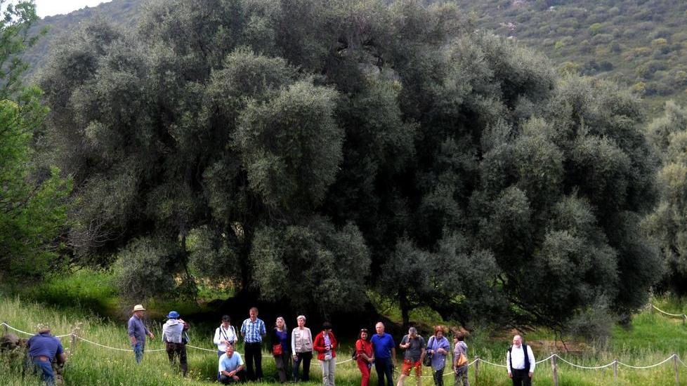 Siti archeologici e luoghi di cultura, pochi i visitatori