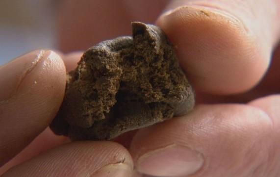 L'INCHIESTA/I giovani modenesi e la cannabis? «Bastano 5 euro a week end» 