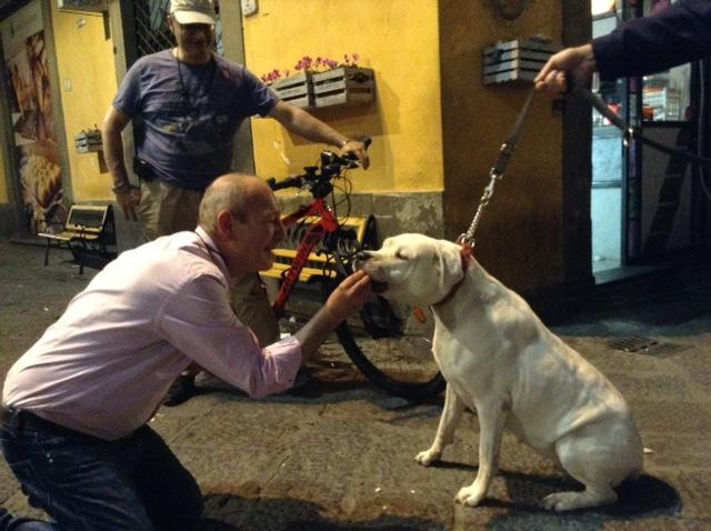 Circa, il cane che ha sventato il furto (foto Batavia)
