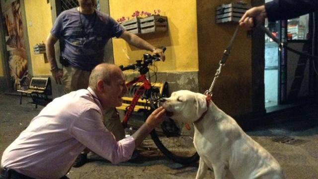 Circa, il cane che ha sventato il furto (foto Batavia)