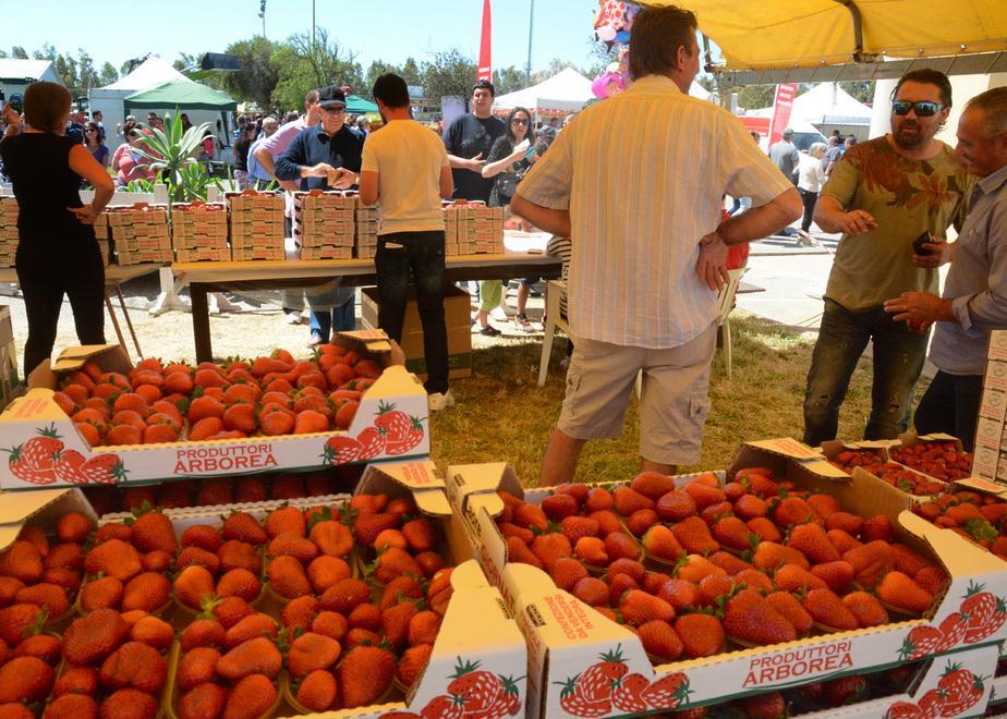 Fragole e mucche, Arborea primeggia con Fieragricola 
