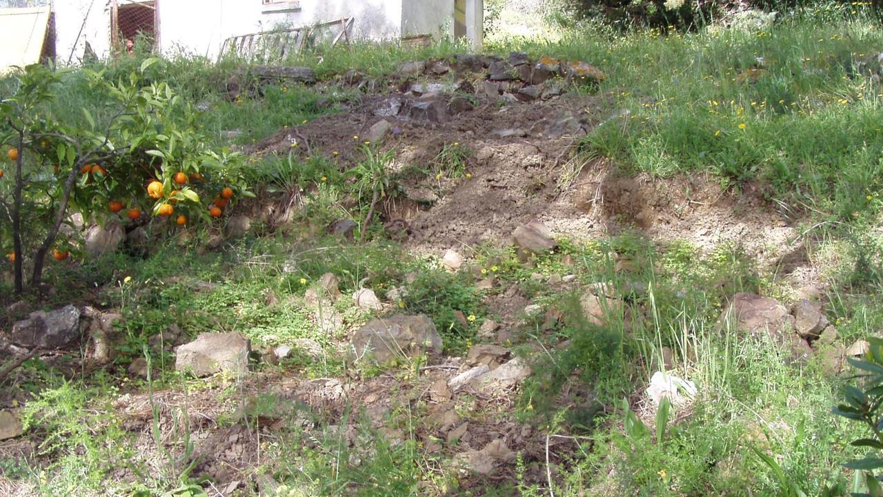 I segni lasciati dai cinghiali