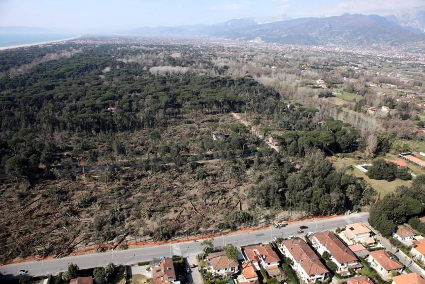 Una veduta aerea della Versiliana dopo la tempesta del 5 marzo