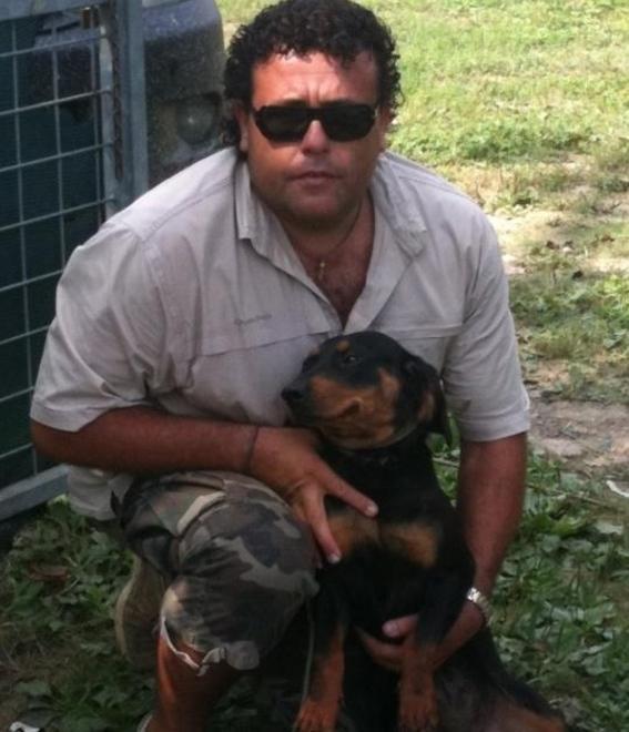 Cacciò di frodo il cinghiale condannato patron Galeotti 
