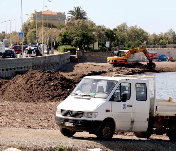 Spiaggia chiusa 15 giorni per rimuovere le alghe 