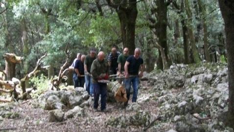 Contratto dei forestali, i sindacati ancora cauti 