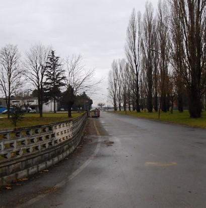 L’appello degli artigiani «Sistemate le strade» 