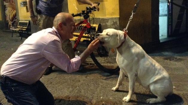 Un cane sventa il furto della bici 