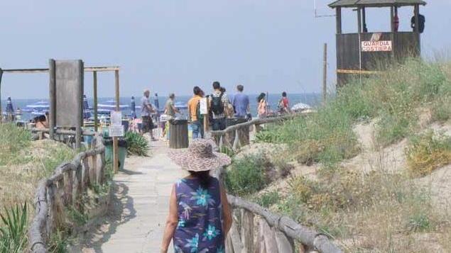 Cani ma solo al guinzaglio nella spiaggia riservata
