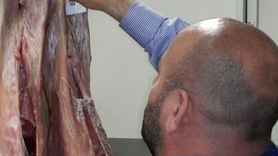 Vendevano agnelli con il falso marchio di qualità: sei denunce
