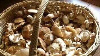 Una doc per il “made in Montieri”