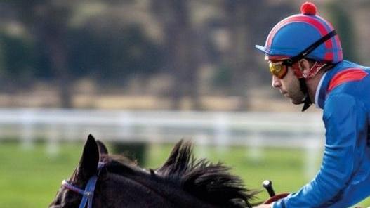 Laghat, il cavallo “diverso” che insegna a non cedere mai