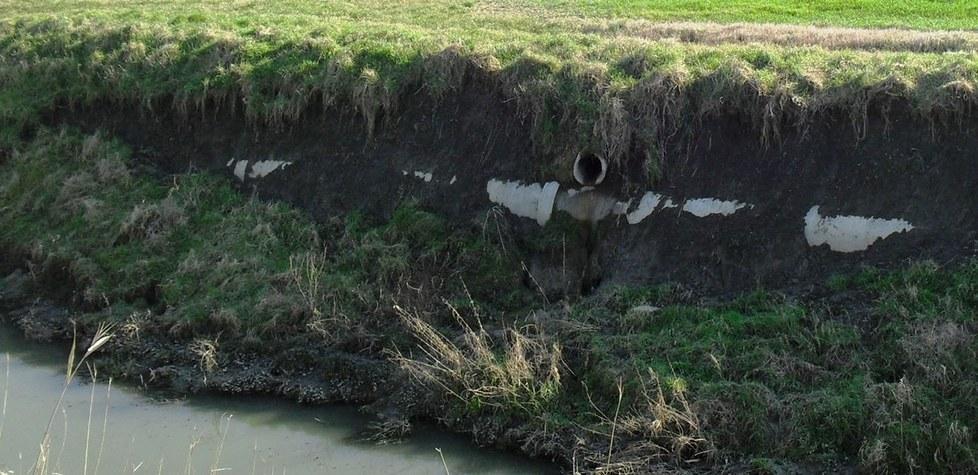 Nuova ordinanza per contrastare le nutrie 