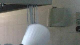 Quaranta alunni della scuola di Terralba all’Expo