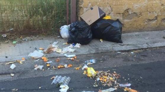 Rifiuti sparsi per le strade di Olbia