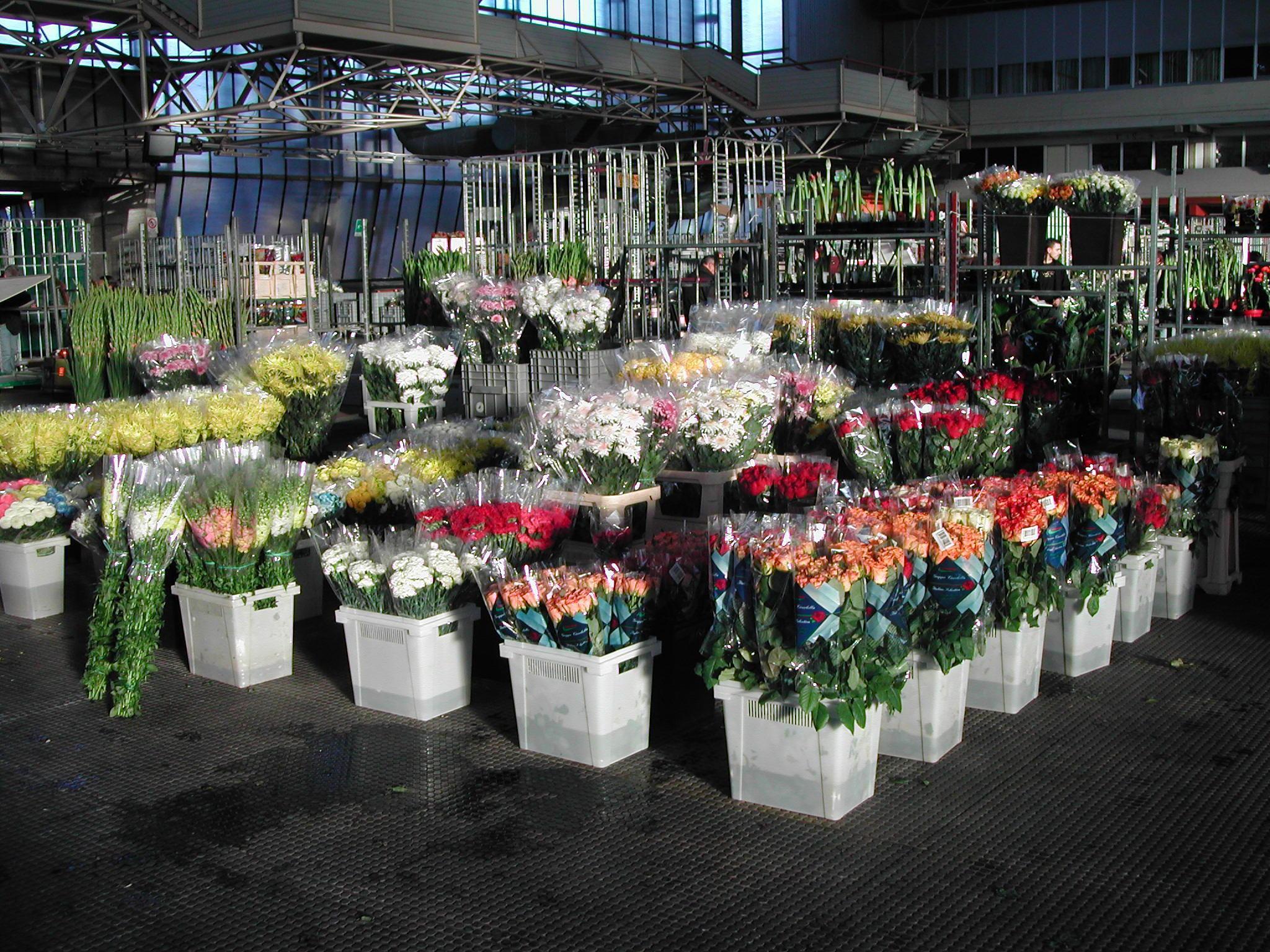 Mercato dei fiori, sindaco a caccia di una soluzione 