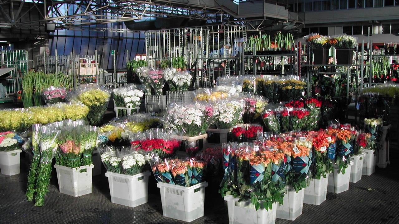 Mercato dei fiori, sindaco a caccia di una soluzione