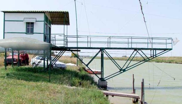 Conoscere i retoni Bambini e genitori a pesca sul Cornia 