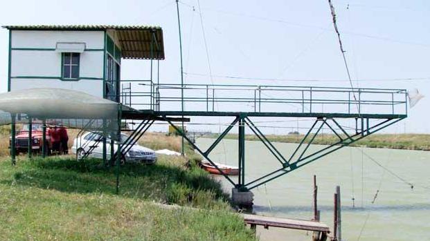 Conoscere i retoni Bambini e genitori a pesca sul Cornia