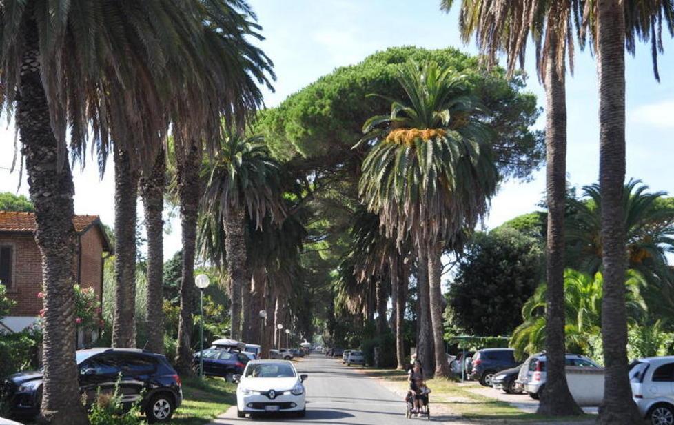 Casone di Marina, sopralluogo a 5 Stelle 