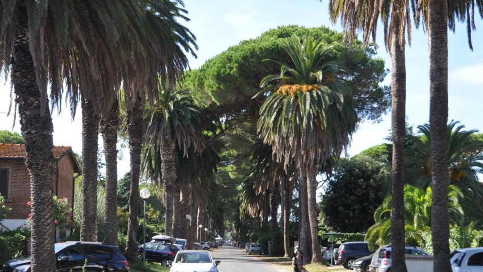 Casone di Marina, sopralluogo a 5 Stelle