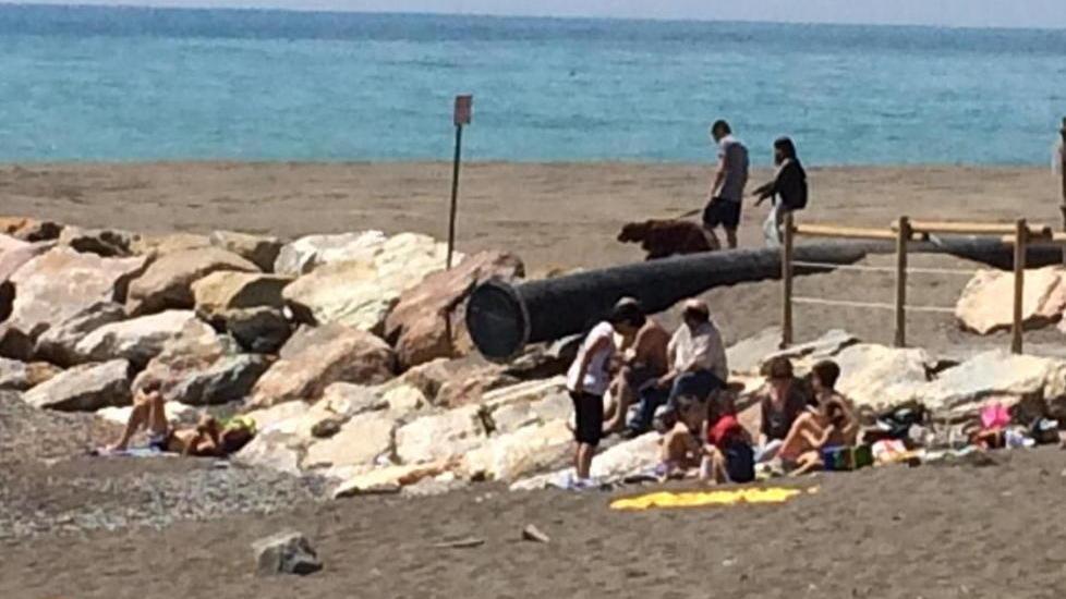 Tubone, la convivenza ha i giorni contati