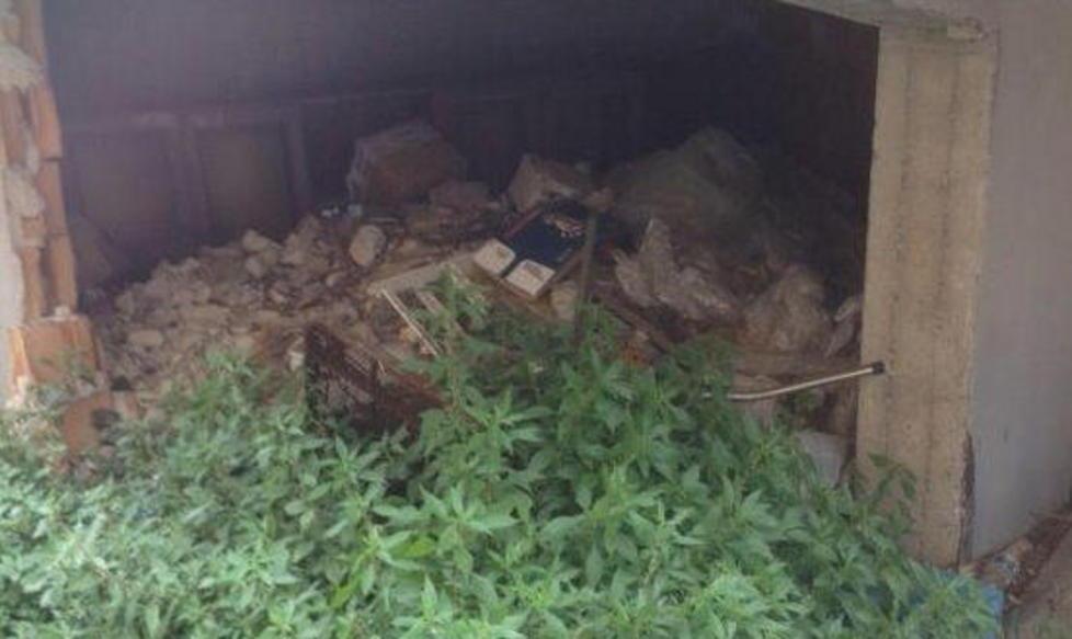 Topi in via Oberdan, protestano gli abitanti
