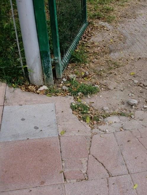 «Degrado attorno alla Basilica» 