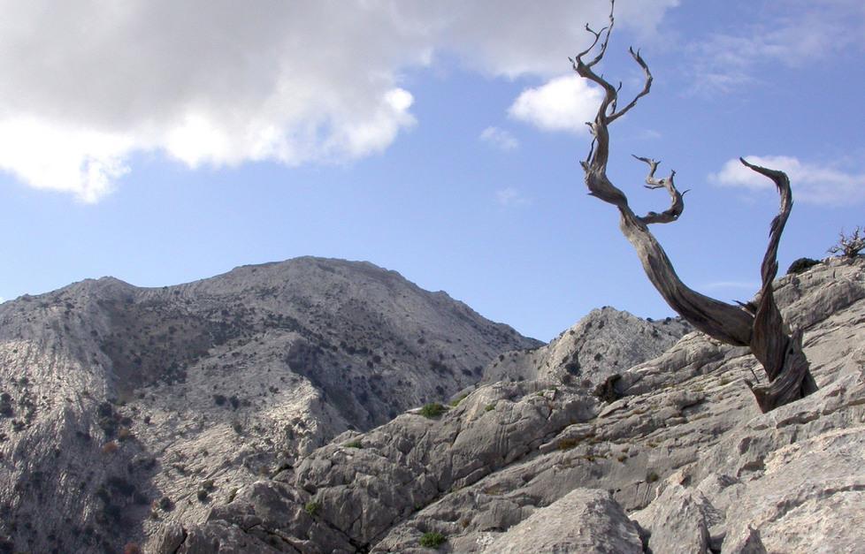 Da Fonni a Desulo, tutti a piedi in onore del Gennargentu 