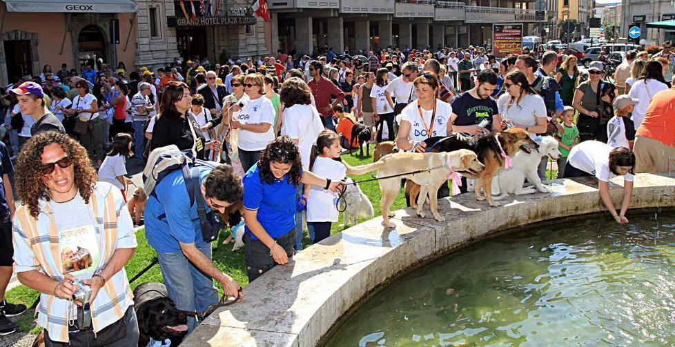 Torna la festa dell’orgoglio canino 