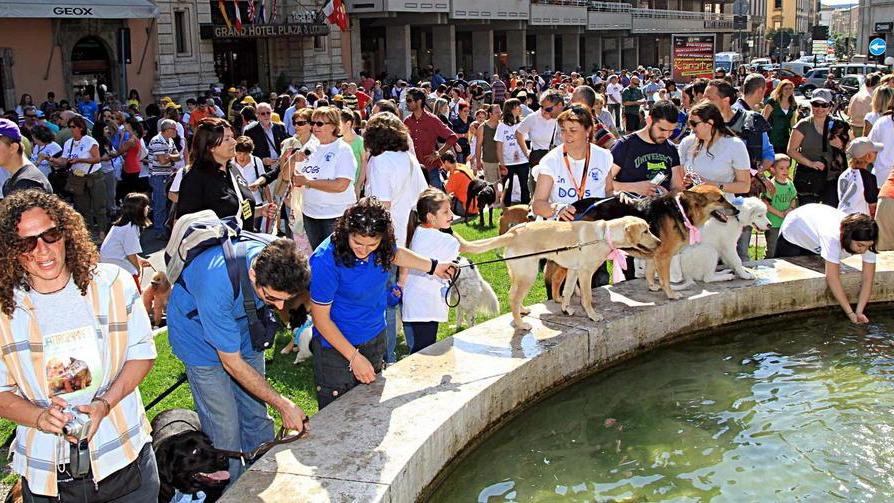 Torna la festa dell’orgoglio canino